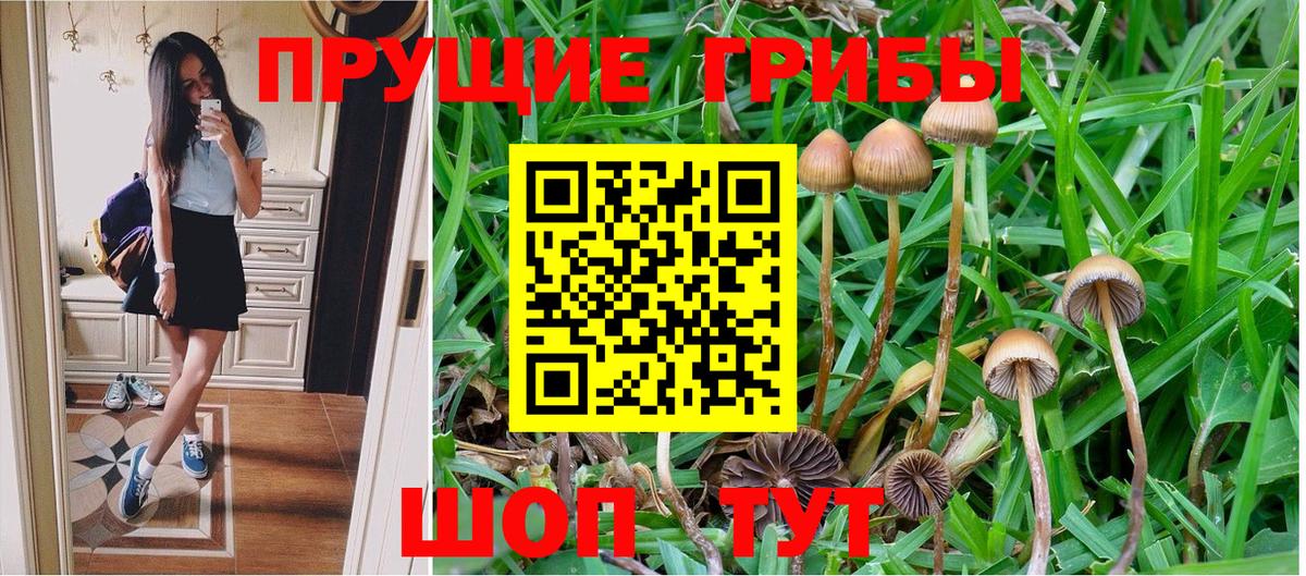 Обнинск  Псилоцибиновые грибы Cubensis  Псилоцибиновые грибы мухоморы  Вход с VPN 